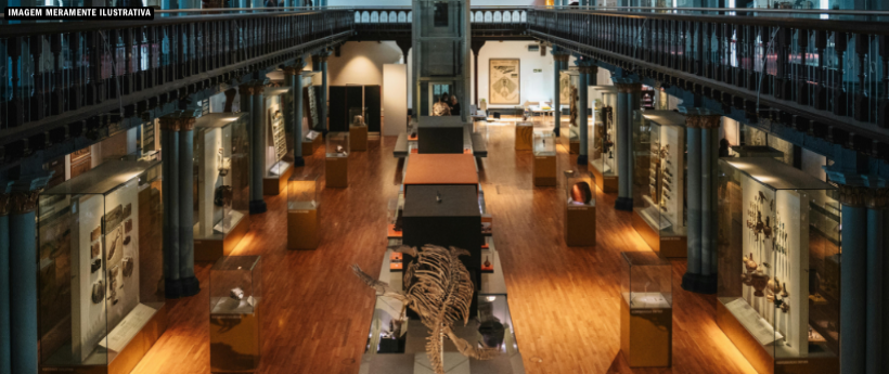 Nova Iguaçu inaugura primeiro museu arqueológico do estado com acervo milenar
