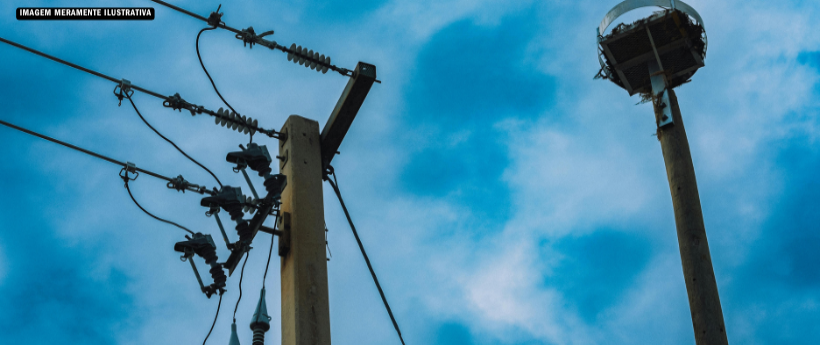 Trânsito: Enel Rio registra mais de 100 colisões em postes no primeiro trimestre