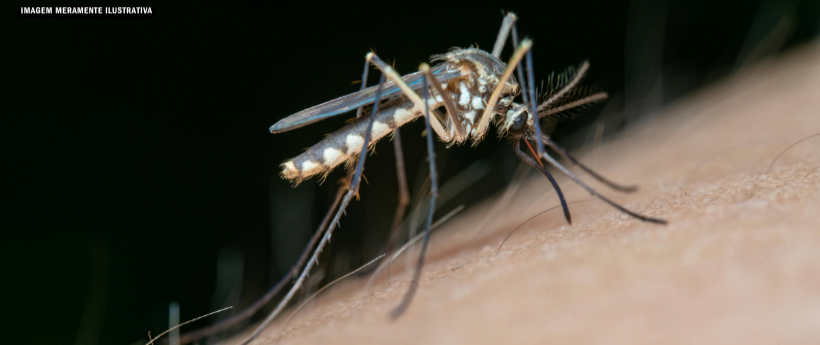 Rio intensifica ações de combate à dengue em 16 bairros nesta semana