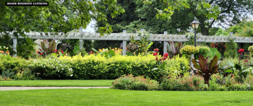 Jardim Botânico lança passaporte especial em comemoração aos 218 anos