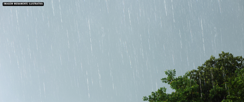 Fortes chuvas deixam mortos e desaparecidos na Zona da Mata de Minas Gerais