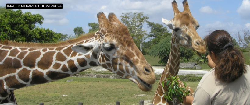 BioParque do Rio é fechado temporariamente para fiscalização sanitária