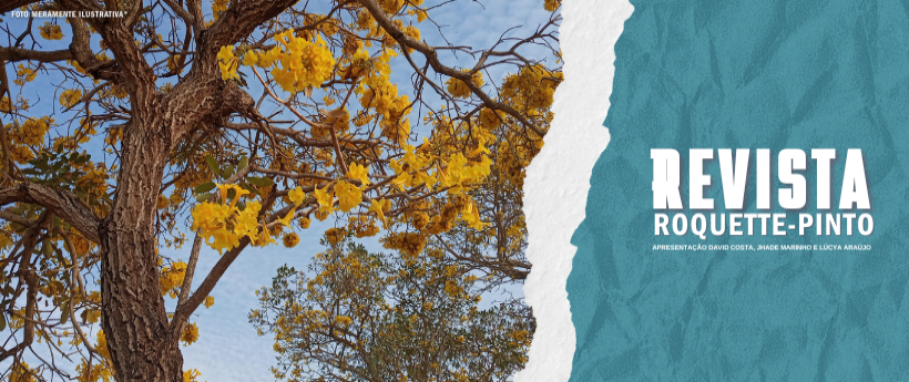 Temporada de ipês floridos colore ruas e florestas do Rio