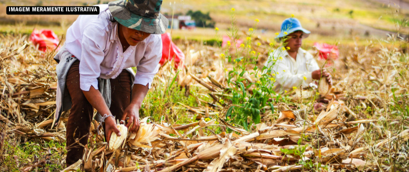 Projeto Agricultura Social atende mais de 200 pessoas em Italva
