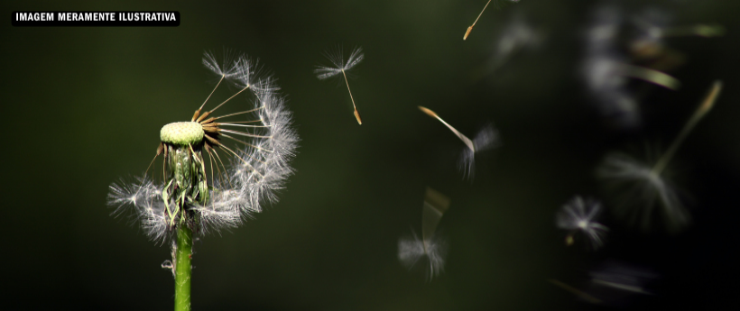 Rio tem previsão de ventania e aproximação de frente fria nesta segunda