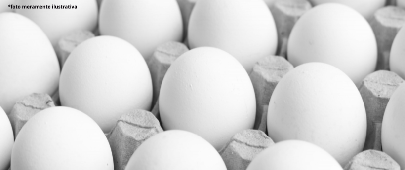 Fabrica de alimentos e interditada em Jacarepaguá 