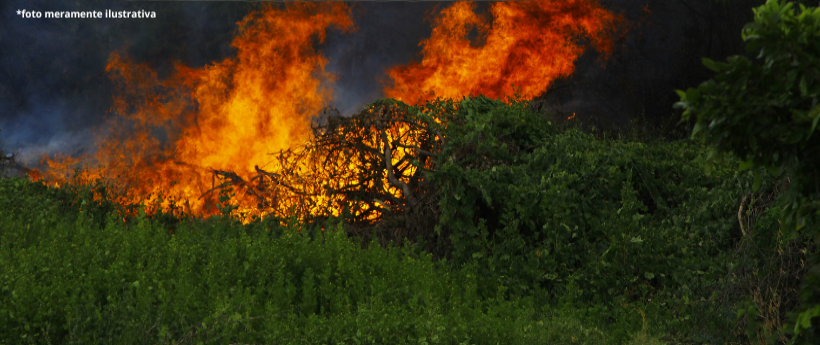 Mais de 3 mil incêndios registrados no RJ em 2025