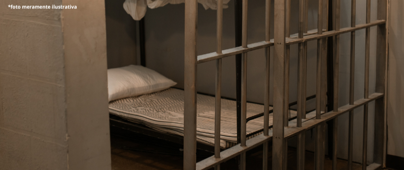 Violência Doméstica no Brasil: Impactos Crescentes