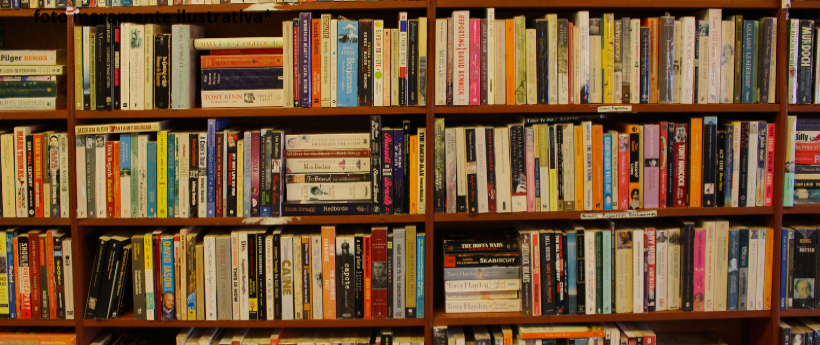 BIBLIOTECA NACIONAL DOA LIVROS A PROJETO SOCIAL NO MORRO DA PROVIDÊNCIA