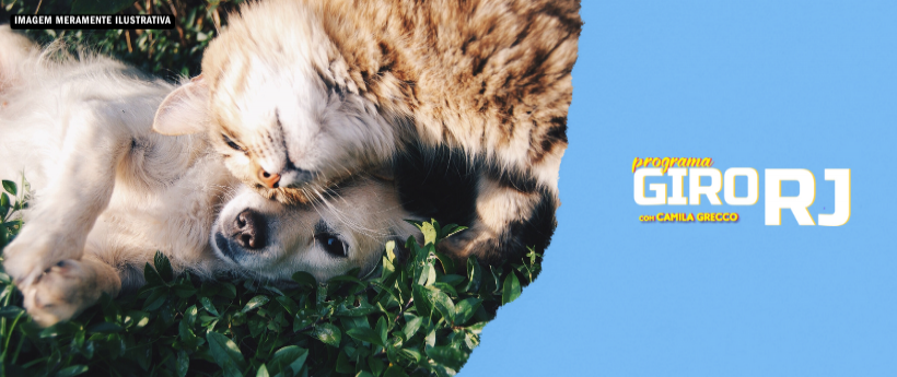 Deputado Marcelo Queiroz fala sobre a aprovação na Câmara dos Deputados do Projeto de Lei que proíbe o uso de animais em atividades de ensino