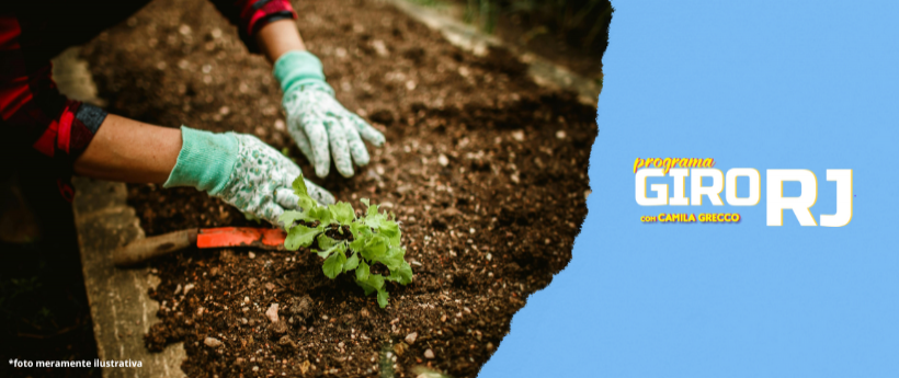 A Importância da Defesa Sanitária Vegetal no RJ