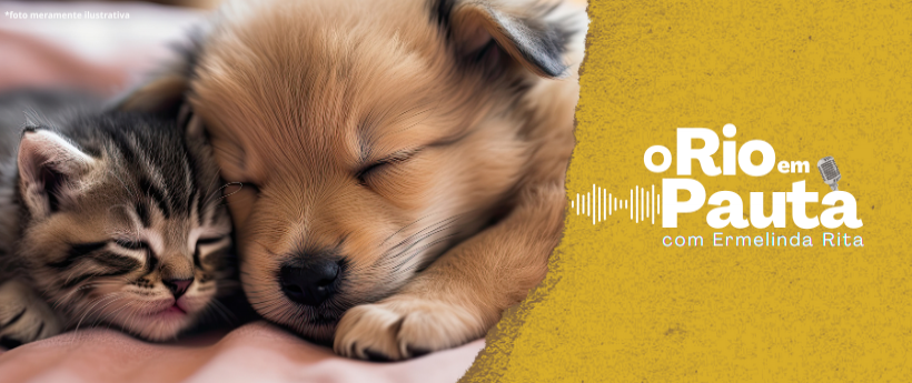 O idealizador, produtor e responsável pela Unno produções, Beto Savanna conversou com Ermelinda Rita sobre a segunda edição do Rio Pet Week no shopping Nova América. Confira!