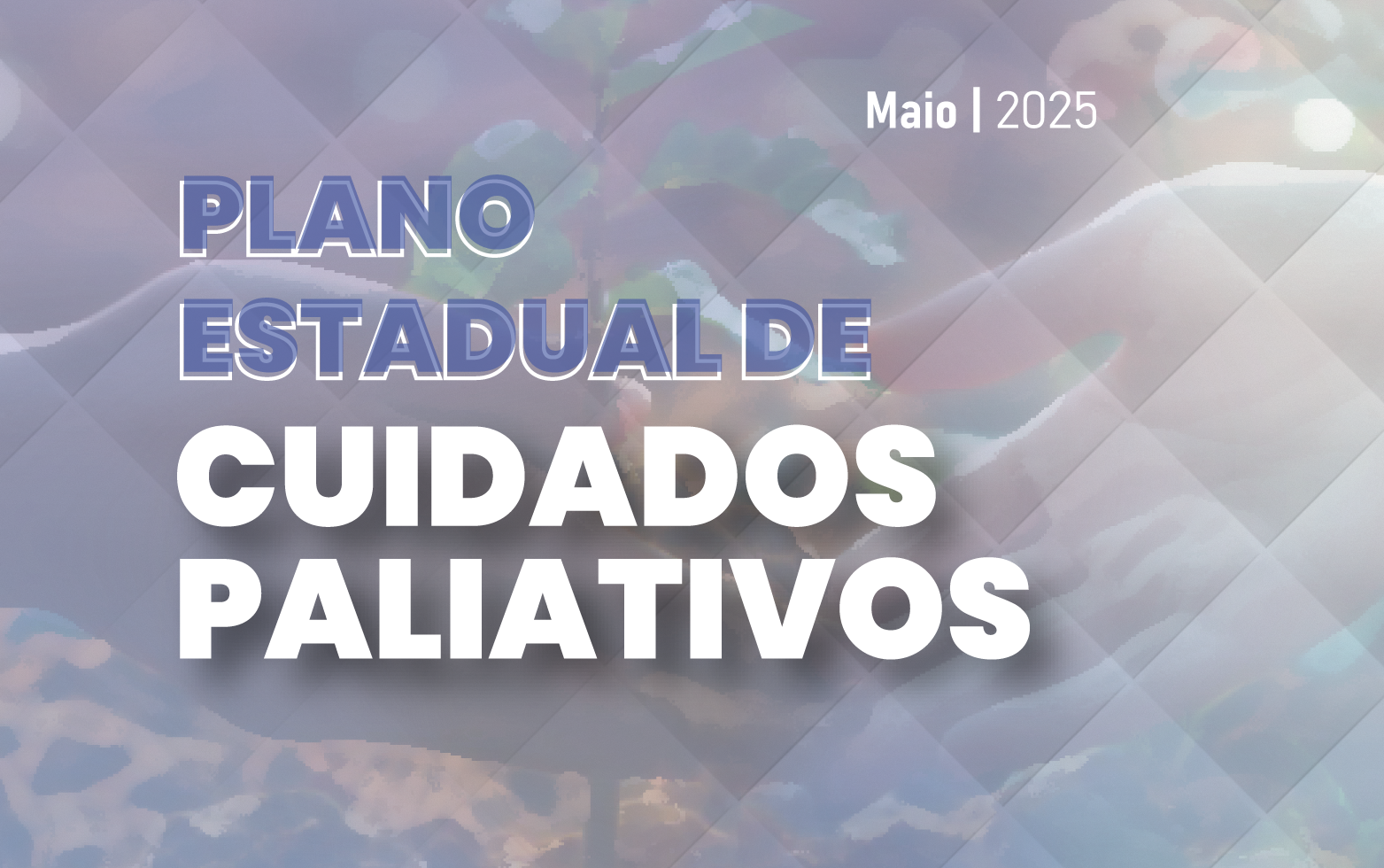 Plano Estadual de Cuidados Paliativos