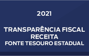 Receita Fonte Tesouro Estadual