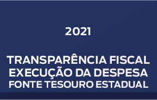 Execução da Despesa Fonte Tesouro Estadual
