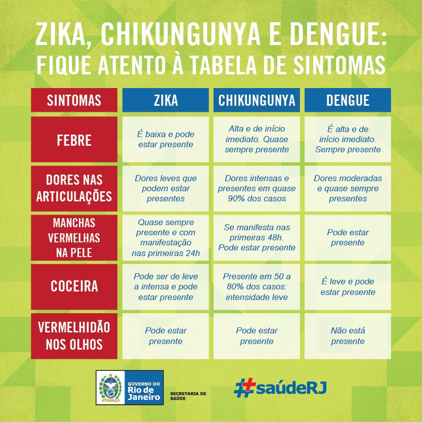 Verão no Rio: população deve redobrar cuidados contra o Aedes aegypti