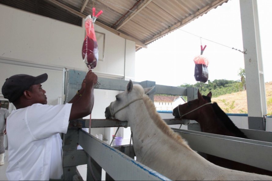 Governador em exercício Cláudio Castro participa de evento que marcou a entrega de R$ 2,3 milhões da Faperj a cientistas