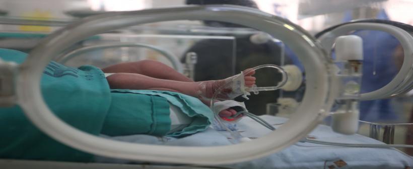 Unidade recebeu cerca de 130 bebês prematuros este ano e oferece atendimento especializado
