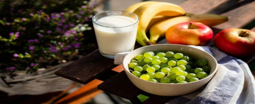 19ª Jornada de Nutrição e Alimentação em Saúde Coletiva debate a situação de populações vulneráveis