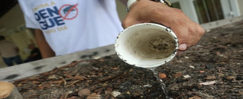 Secretaria de Estado de Saúde e de Desenvolvimento Social e Direitos Humanos criam brigada de combate à dengue
