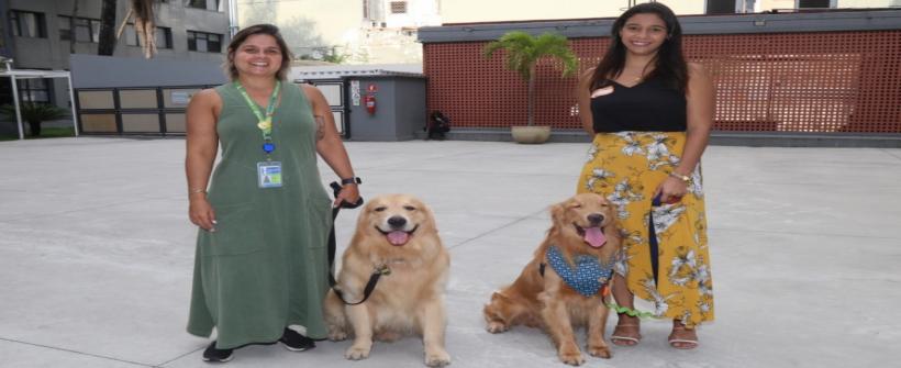 Cães de suporte emocional mudam a realidade de pessoas com ansiedade no estado do Rio de Janeiro