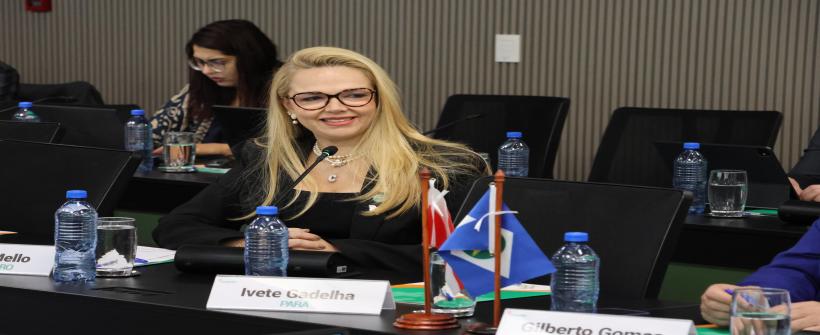 Secretária passa a representar a entidade como vice-presidente da Região Sudeste