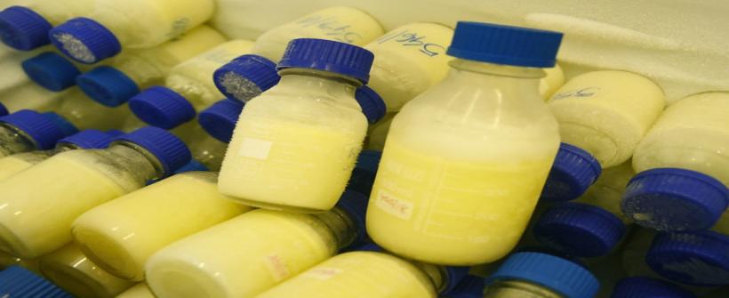 Agosto Dourado: SES alerta sobre a importância de doar leite materno