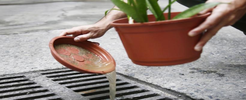 Campanha “10 Minutos Salvam Vidas”, da Secretaria de Saúde, dá dicas de como evitar a proliferação da dengue