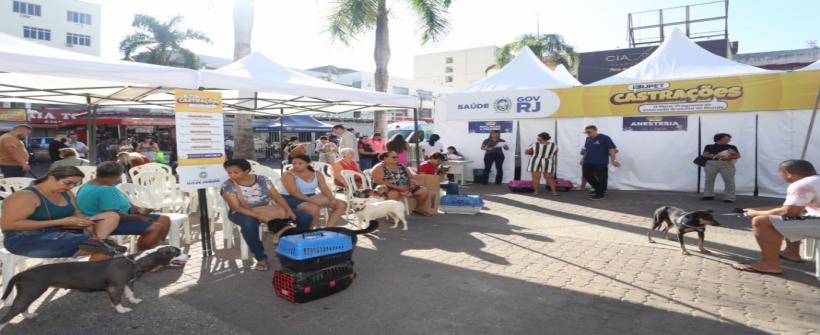 Castramóveis do RJPET chegam à Rocinha e à Ilha do Governador