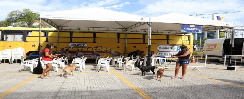 Castramóveis do RJPET oferecem procedimentos a cães e gatos na Zona Norte da Capital e em São Gonçalo