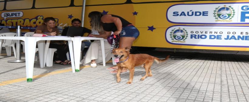 Castramóvel do RJPET chega a São Gonçalo, Pavuna e Campo Grande