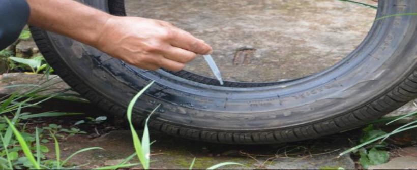 Chuvas: Secretaria de Saúde alerta para o risco de aumento da infestação do Aedes aegypti