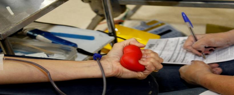 Dia Nacional do Doador de Sangue: funcionários da SES e FS comemoram doando