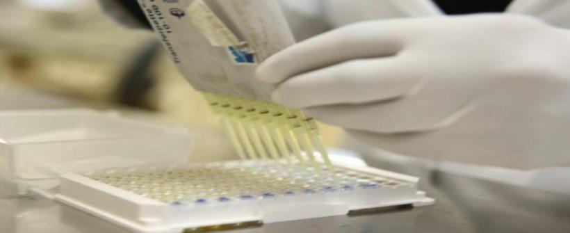 Estado do Rio alcança pela primeira vez índice reduzido de contaminação do coronavírus