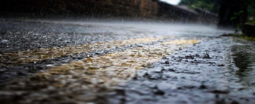 Estado do Rio tem 24 casos confirmados de leptospirose este ano