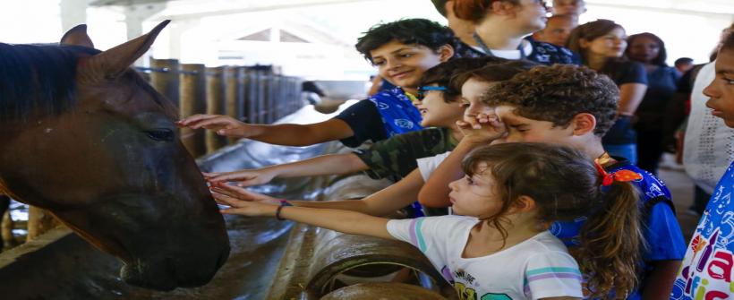 Gratuita, a 26ª edição das Férias Científicas promove imersão científica para crianças de 8 a 10 anos