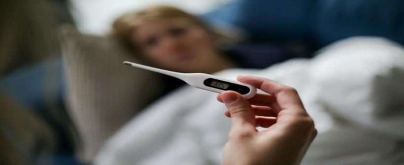 Febre Maculosa: SES-RJ orienta vigilâncias municipais para período de maior incidência da doença