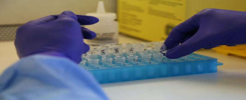 Orientações sobre a doença estão disponíveis no painel Monitora, da SES-RJ