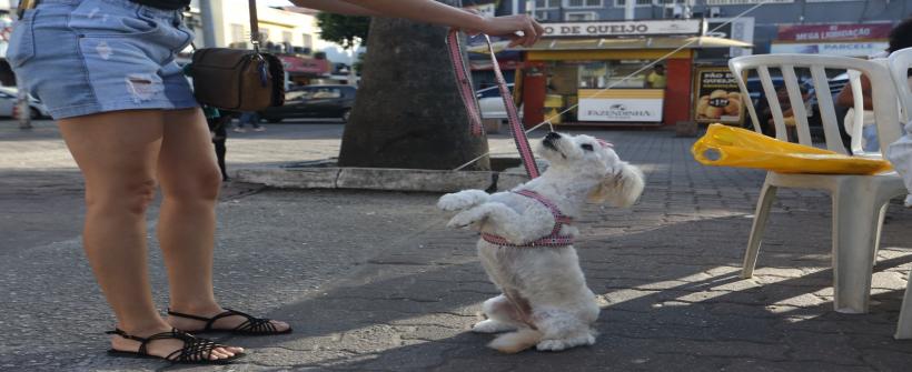 Dia D de Vacinação ocorrerá em 27 de setembro em todo o estado