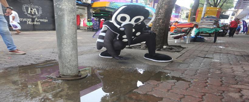 ​​​​​​​Secretaria de Estado de Saúde convocou os 92 municípios a realizar ações de conscientização e prevenção contra o mosquito Aedes aegypti