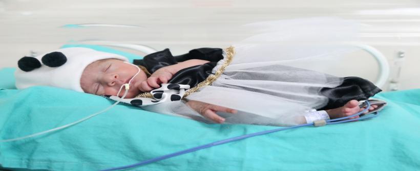 Os recém-nascidos da UTI Neonatal do Hospital Estadual Azevedo Lima (Heal), em Niterói, participaram da sessão de fotos especial carnaval do ‘Mêsversário’ do Projeto Pequenos Encantos.