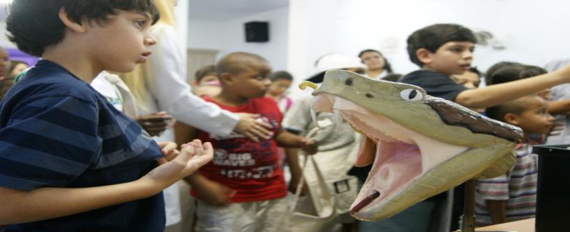 Instituto Vital Brazil abre as inscrições para a 23º edição das Férias Científicas