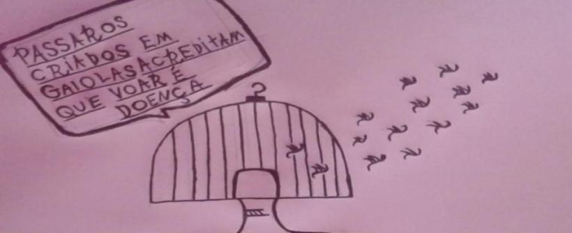 Intersetorialidade no território: a experiência do CAPSi Alcântara