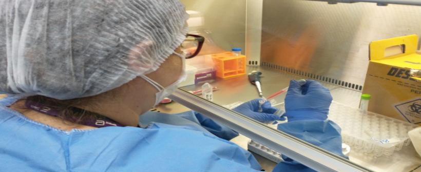 Monitoramento genômico da Secretaria de Estado de Saúde identifica nova variante da Covid-19 no estado do Rio de Janeiro