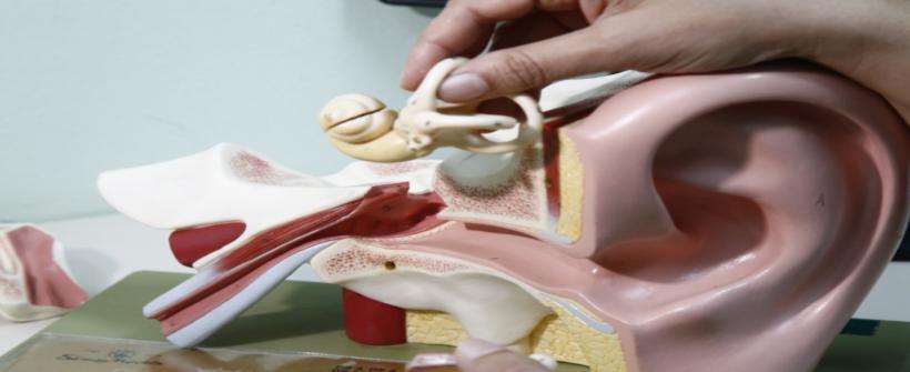 No Dia Nacional de Combate à Surdez, conheça mitos e verdades sobre o tema