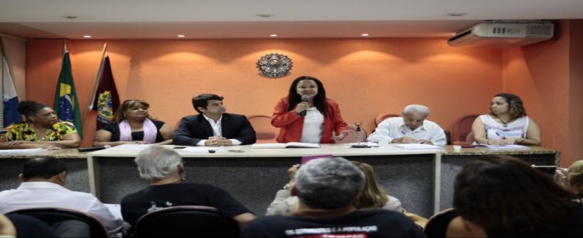 Nova presidente do Conselho Estadual de Saúde toma posse