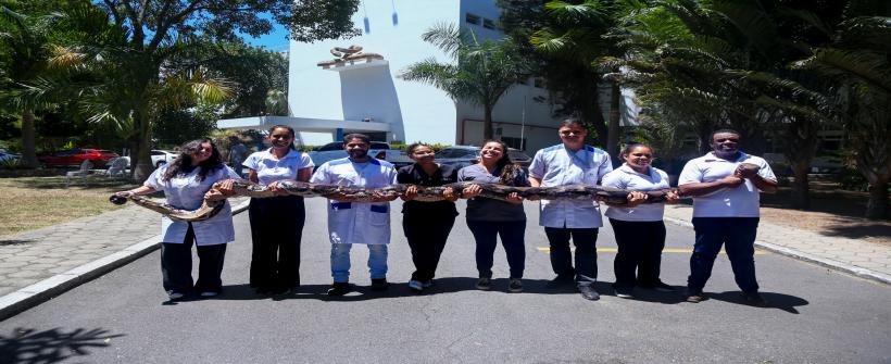 Na semana do Dia Mundial da Cobra, a python ganha protagonismo ao inspirar crianças na 26ª edição das Férias Científicas