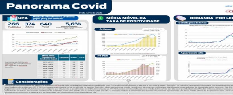 Panorama Covid-19: cenário epidemiológico apresenta estabilidade dos indicadores da doença