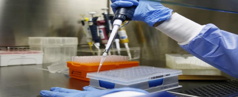 Perguntas e respostas sobre o Novo Coronavírus