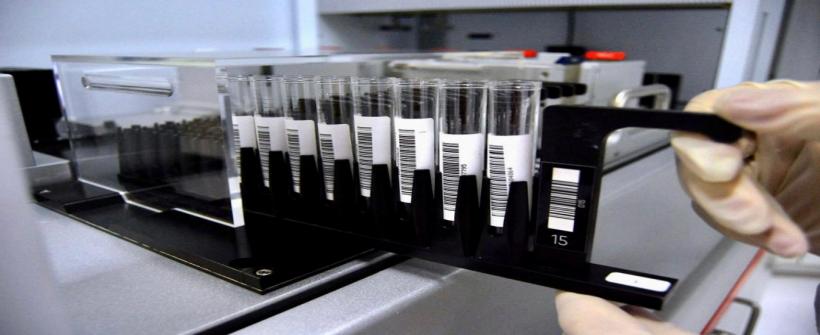 Pesquisa inédita do Hemorio revela aumento no número de pessoas com anticorpos contra a Covid-19 na população